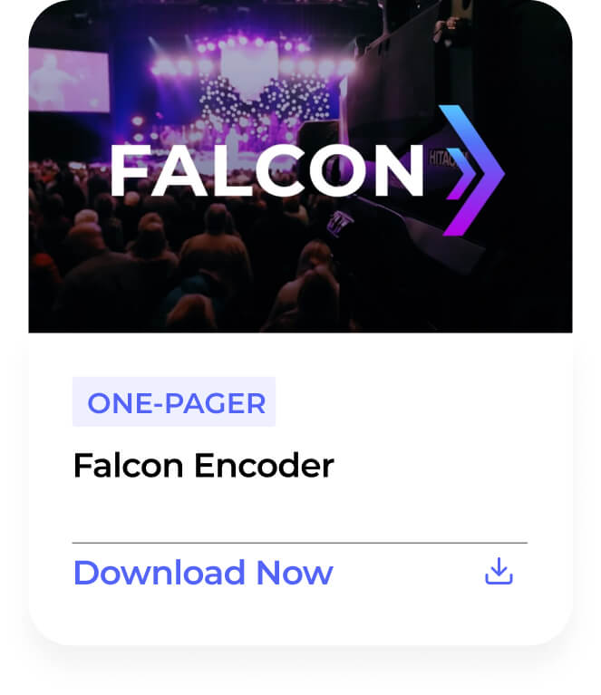 Falcon (1)